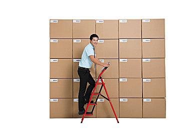 国产种田沙盒游戏《无径之林》正式预告片公开